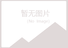 北京西城冰夏出版有限公司